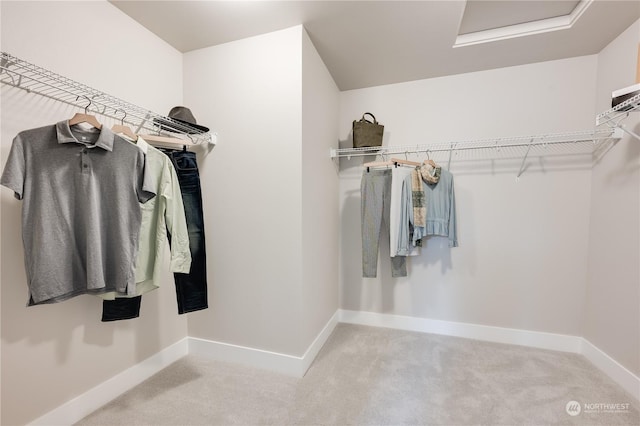 spacious closet with light carpet