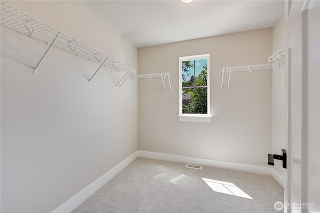 26521 NE 147th Pl Unit Sr 11, Duvall, WA 98019 - spacious closet with carpet flooring