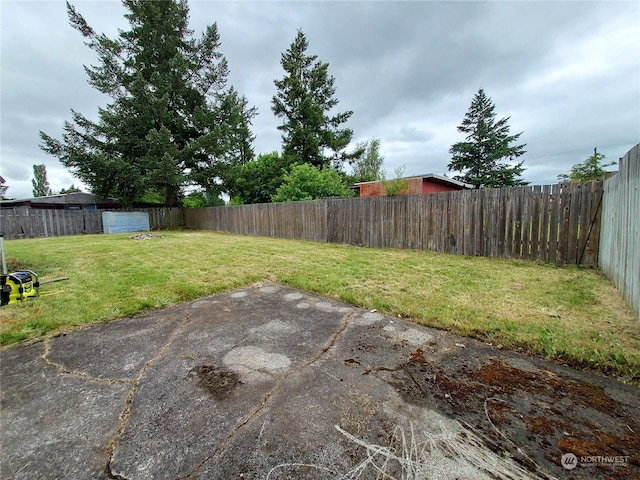 view of yard featuring a patio area