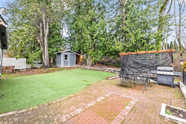 view of yard featuring a patio and a storage shed