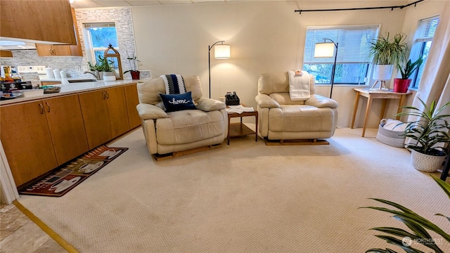 living area featuring light carpet, plenty of natural light, and sink