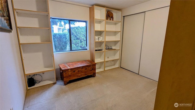 unfurnished bedroom featuring light colored carpet and a closet