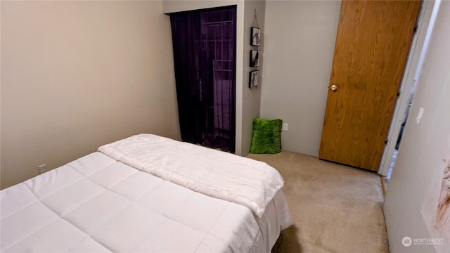 bedroom featuring a closet and carpet flooring