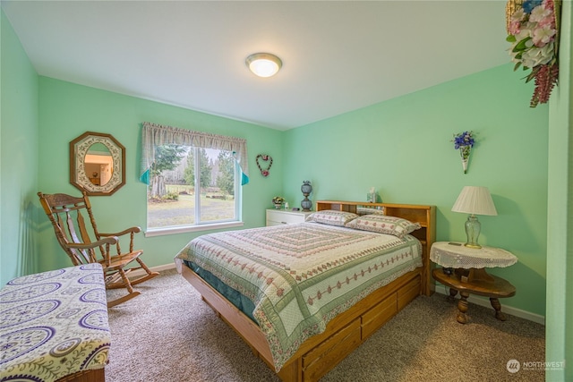 bedroom with carpet floors