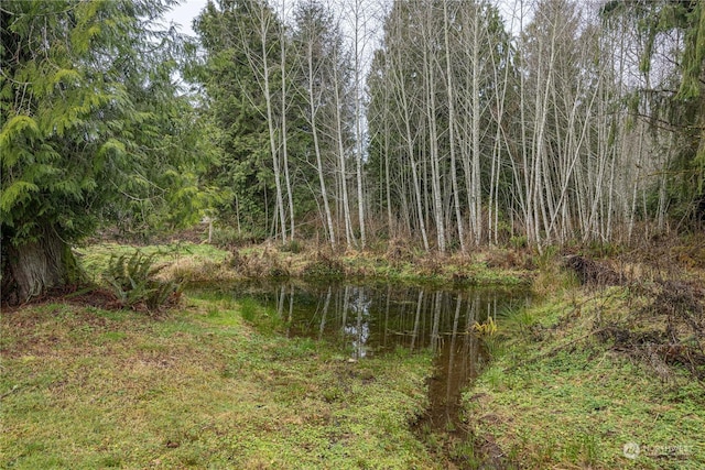 view of local wilderness