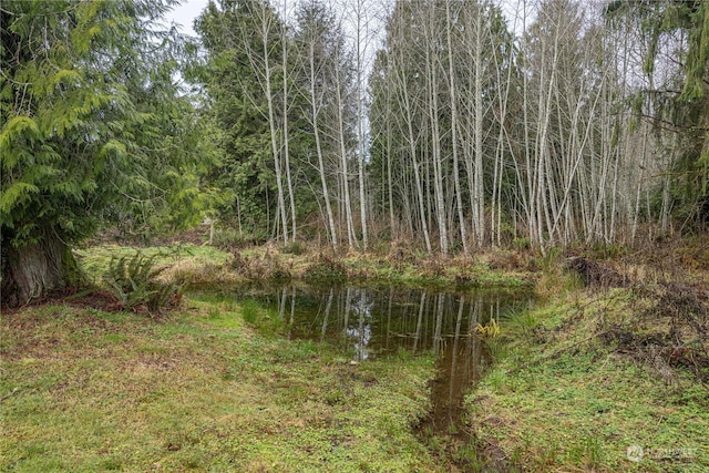 166 Nelson Creek Ln, Port Angeles, WA 98363 - photo 32