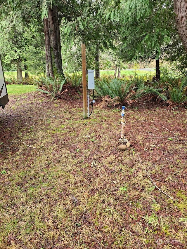 166 Nelson Creek Ln, Port Angeles, WA 98363 - photo 35
