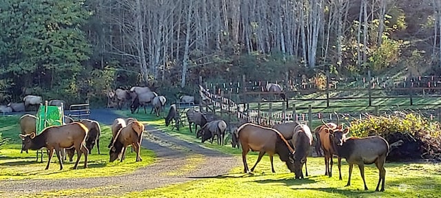 view of stable