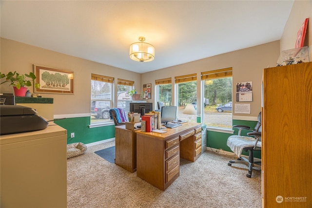 home office featuring light colored carpet