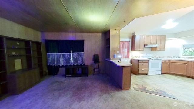 kitchen with light carpet, kitchen peninsula, and electric stove