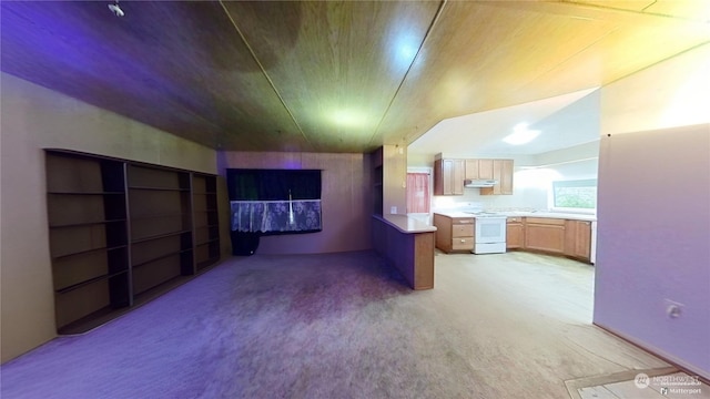 unfurnished living room featuring light carpet