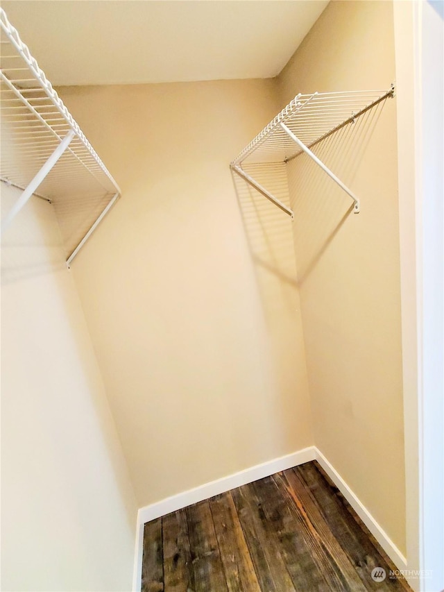 spacious closet featuring hardwood / wood-style floors