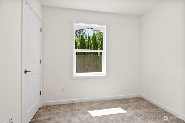 unfurnished room featuring light colored carpet