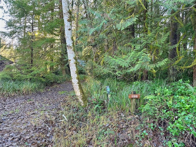 100 E Liberty Rd, Shelton WA, 98584 land for sale