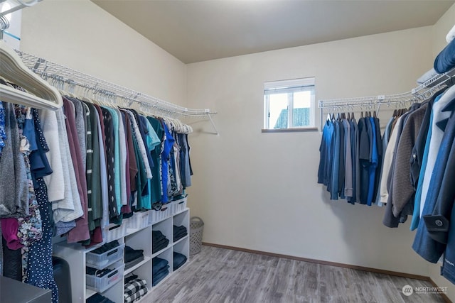 walk in closet featuring hardwood / wood-style flooring