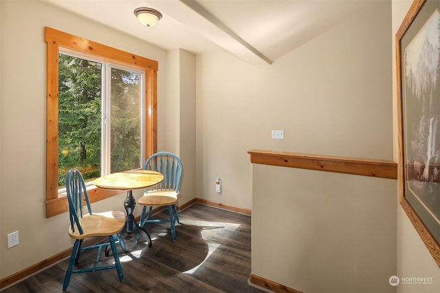 dining space with dark hardwood / wood-style flooring