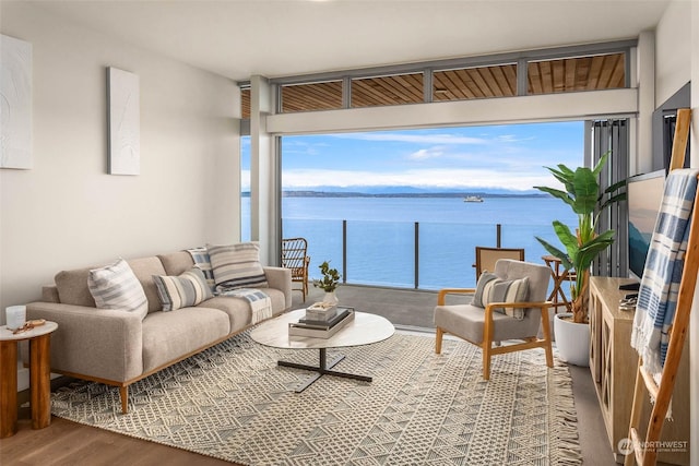 1250 Alki Ave SW Unit 3B, Seattle, WA 98116 - living room with a water view, wood finished floors, and floor to ceiling windows