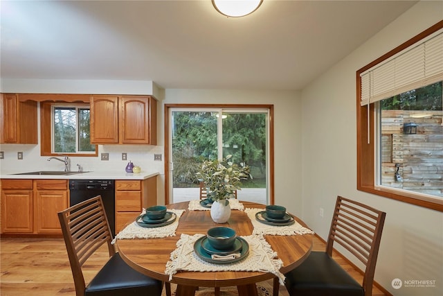 kitchen featuring tasteful backsplash, dishwasher, light hardwood / wood-style flooring, and sink