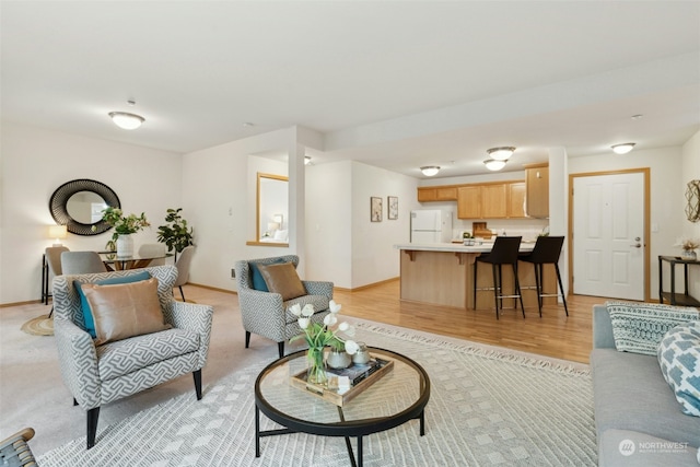 living room featuring light hardwood / wood-style floors