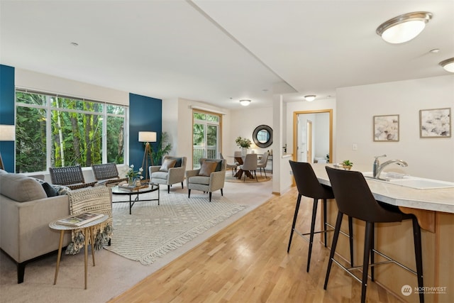 interior space with sink, light hardwood / wood-style floors, and plenty of natural light