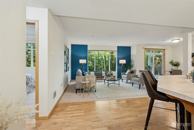 living room featuring light hardwood / wood-style flooring and plenty of natural light