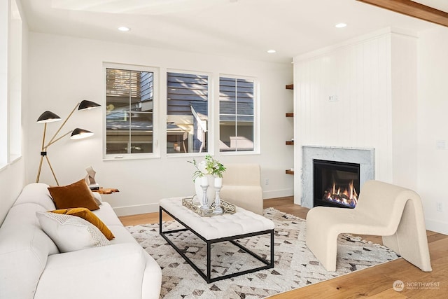 living room featuring a premium fireplace and light hardwood / wood-style flooring