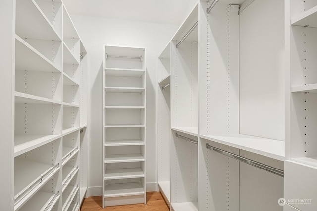 walk in closet with hardwood / wood-style floors