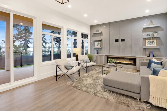 living room with light wood-type flooring