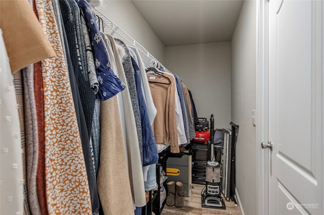 view of spacious closet