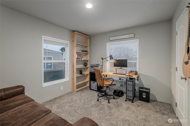 office space with light carpet