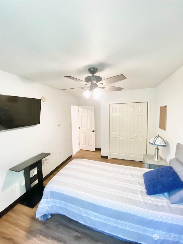 bedroom with wood-type flooring, a closet, and ceiling fan