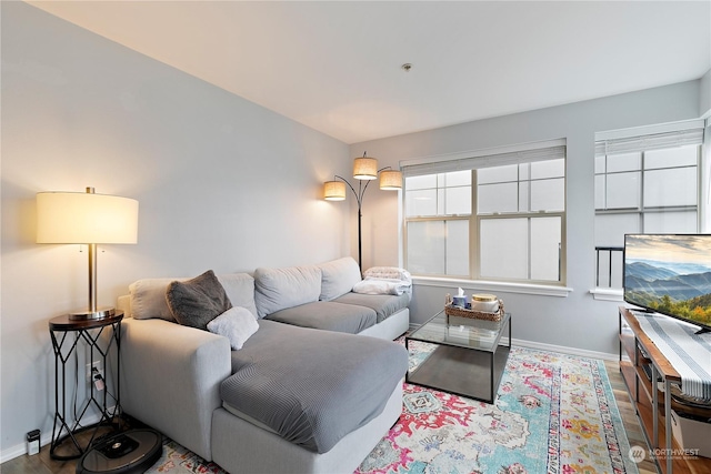 living room with hardwood / wood-style flooring