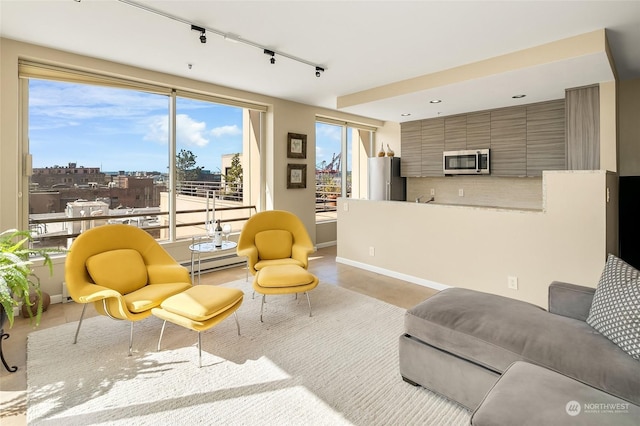 living room with baseboard heating, a wealth of natural light, and rail lighting