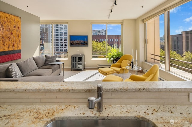 living room with sink, rail lighting, and a baseboard radiator