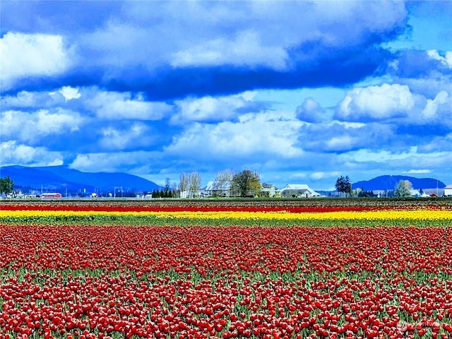 surrounding community with a mountain view