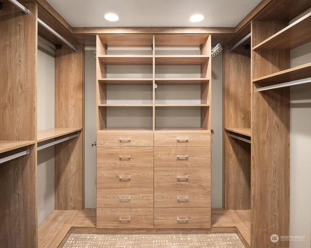 view of spacious closet