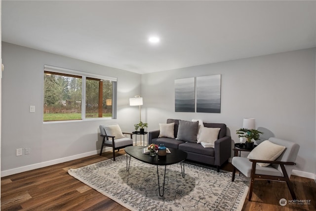 living room with dark wood-type flooring