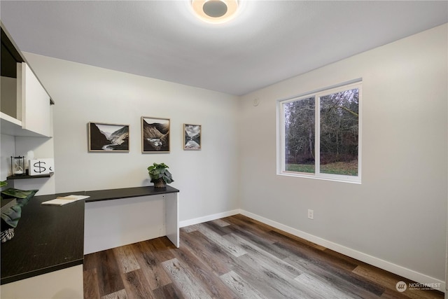 unfurnished office featuring wood-type flooring