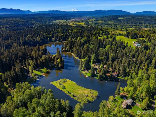 drone / aerial view with a water and mountain view