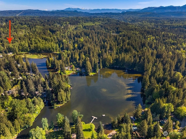 birds eye view of property with a water and mountain view