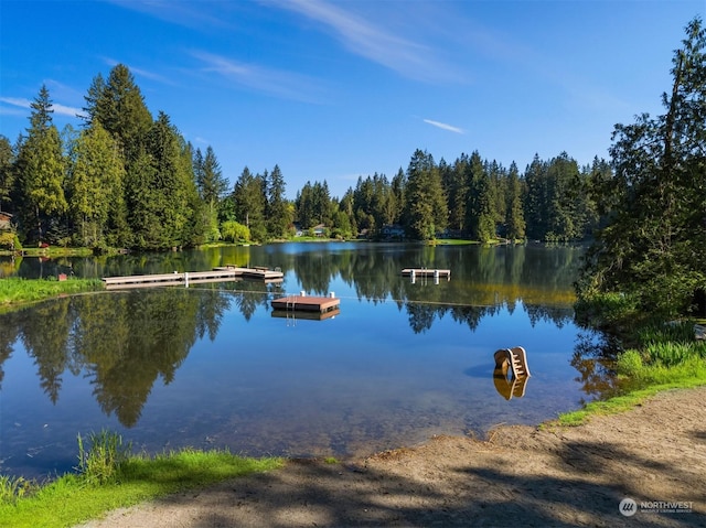 water view featuring a boat dock