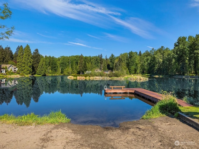 view of dock with a water view