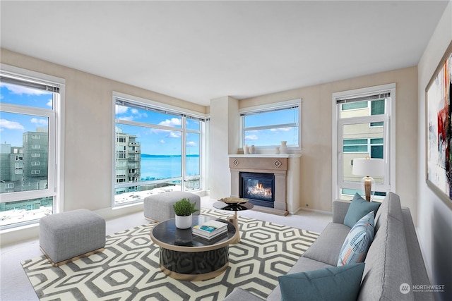 carpeted living room with a water view