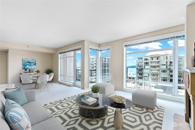 carpeted living room with a wealth of natural light