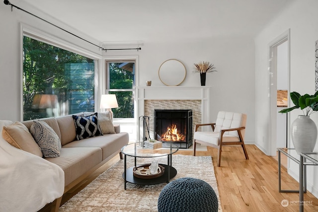 living room featuring wood-type flooring and a fireplace