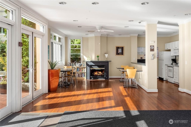 interior space with dark wood-type flooring, ornamental molding, and a fireplace