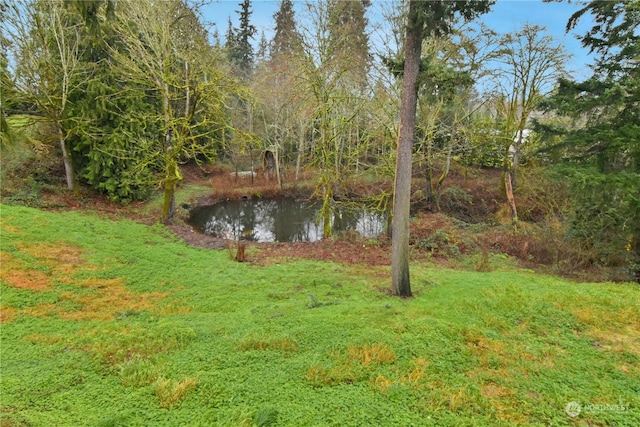 view of water feature