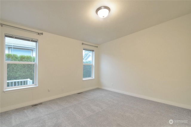 carpeted spare room with a wealth of natural light