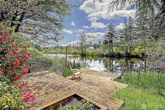 dock area with a water view