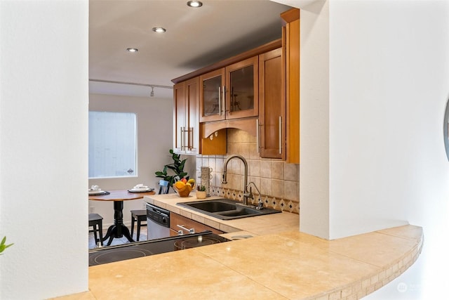 kitchen featuring sink, rail lighting, and tasteful backsplash